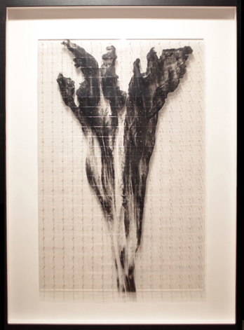 Nature morte (fleur acidanthera) II
